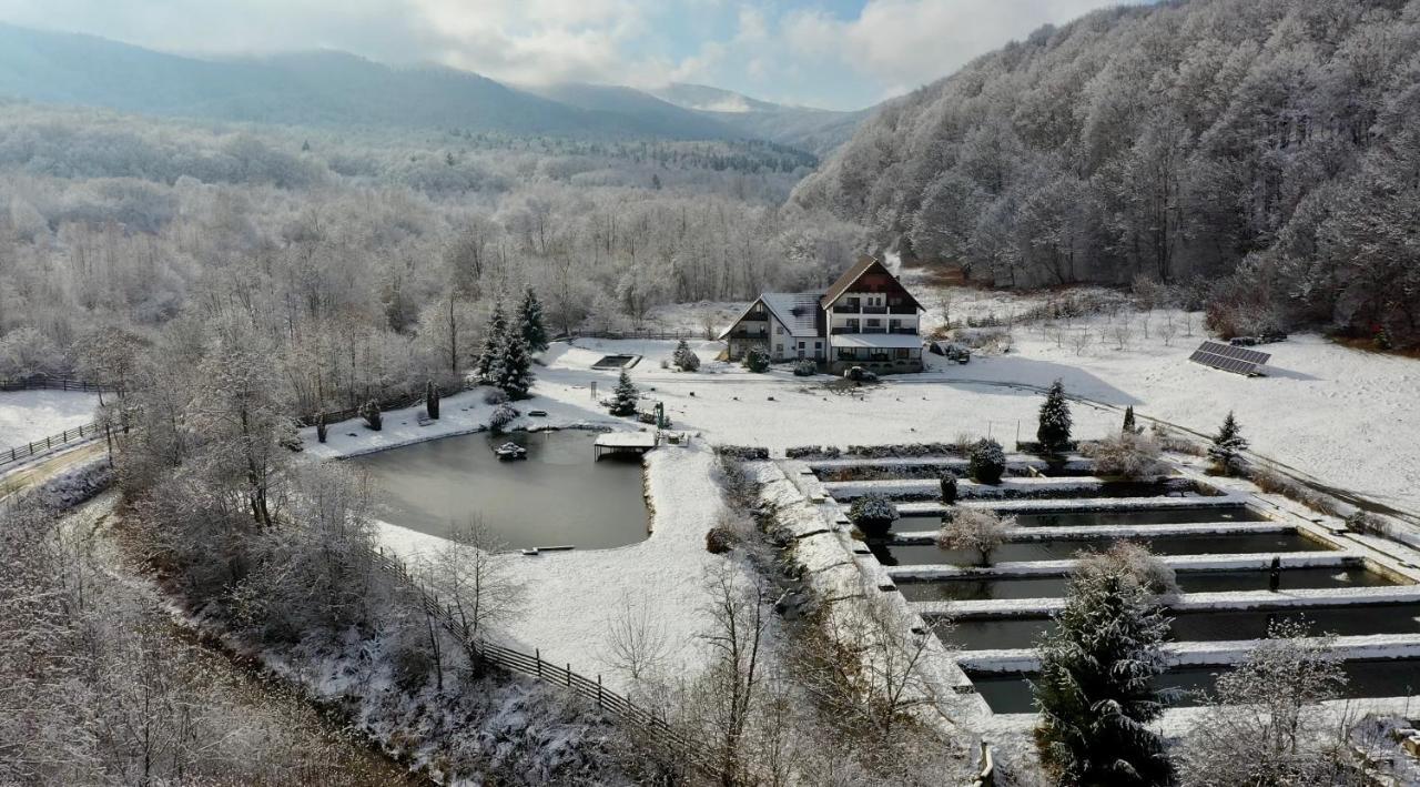 Valea Salbatica 호텔 Sinca Noua 외부 사진