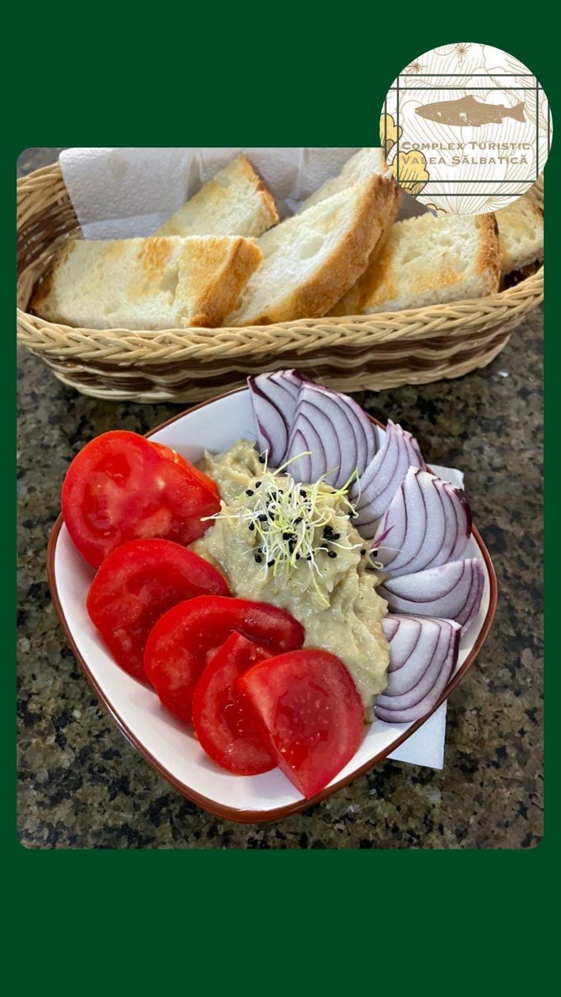 Valea Salbatica 호텔 Sinca Noua 외부 사진