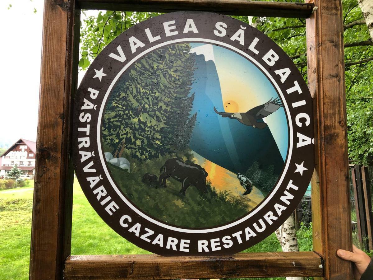 Valea Salbatica 호텔 Sinca Noua 외부 사진